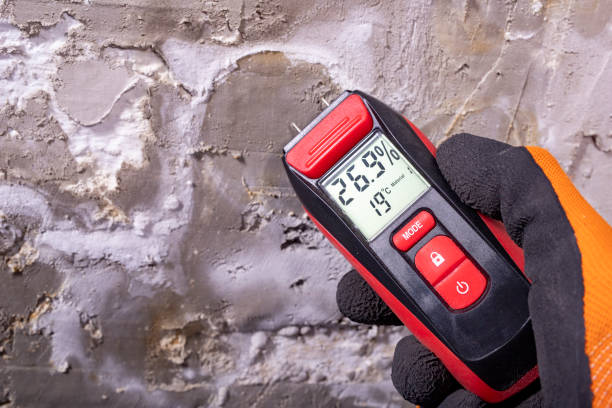 Best Mold Removal Company Near Me  in Orange, TX