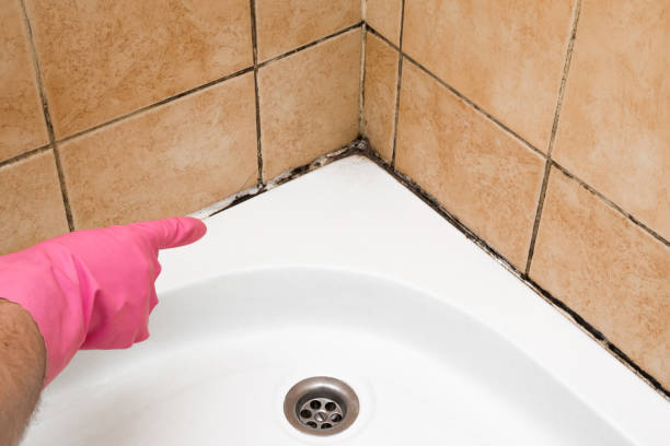 Water Damage Restoration in Orange, TX